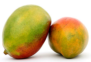 Preda – Mangos für Kinderrechte – Philippinen